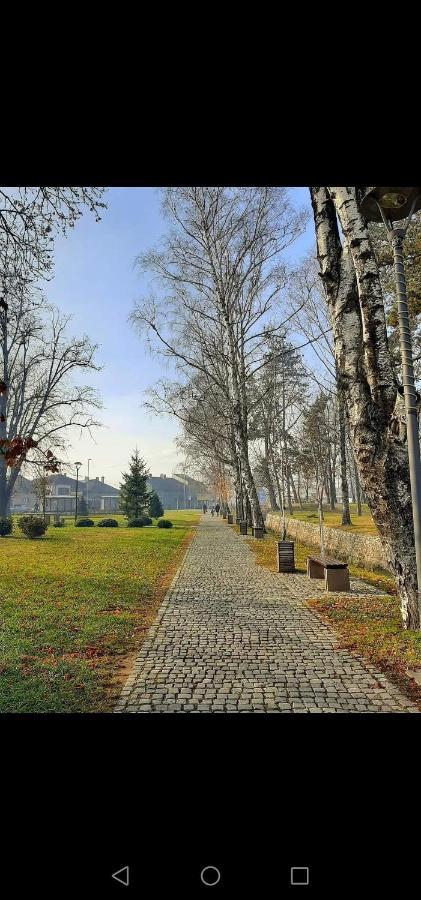 Jednosoban stan centar Apartment Pirot Bagian luar foto