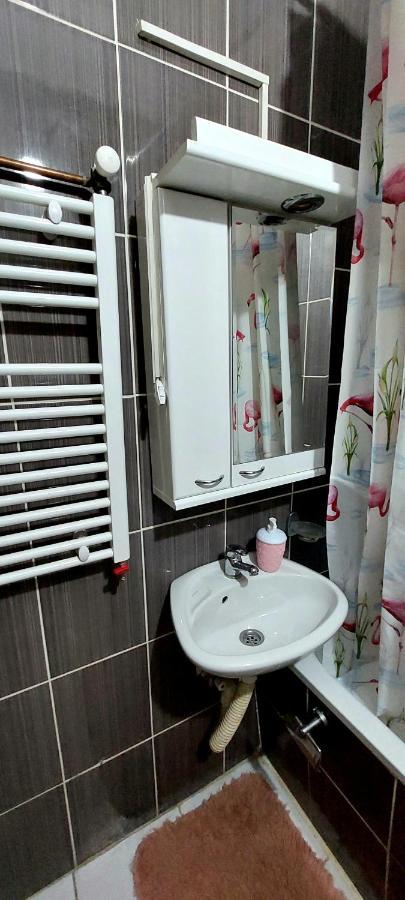Jednosoban stan centar Apartment Pirot Bagian luar foto