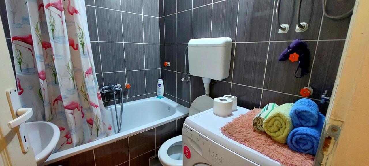 Jednosoban stan centar Apartment Pirot Bagian luar foto