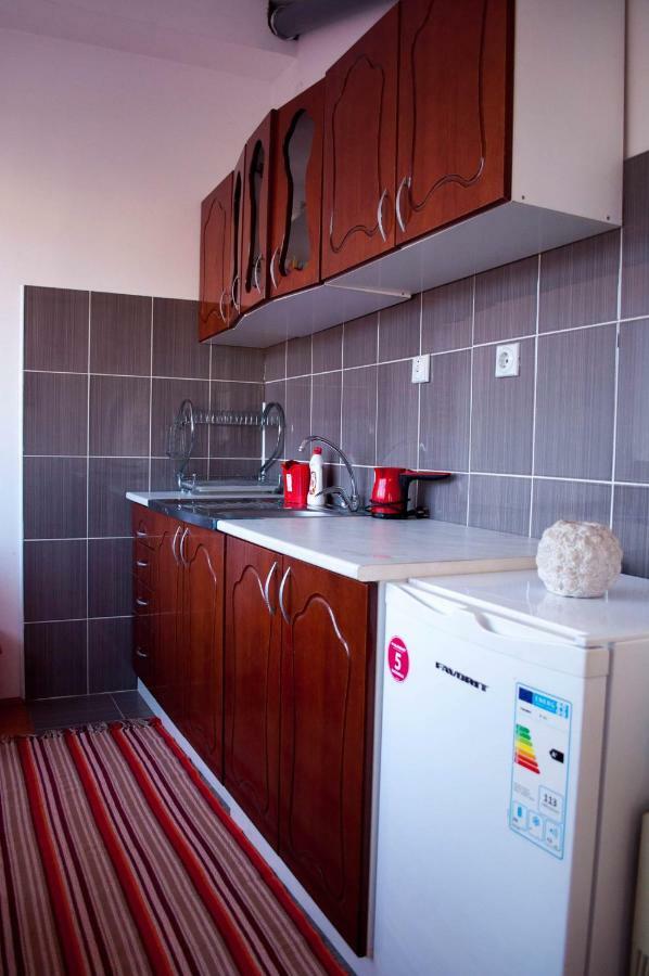 Jednosoban stan centar Apartment Pirot Bagian luar foto