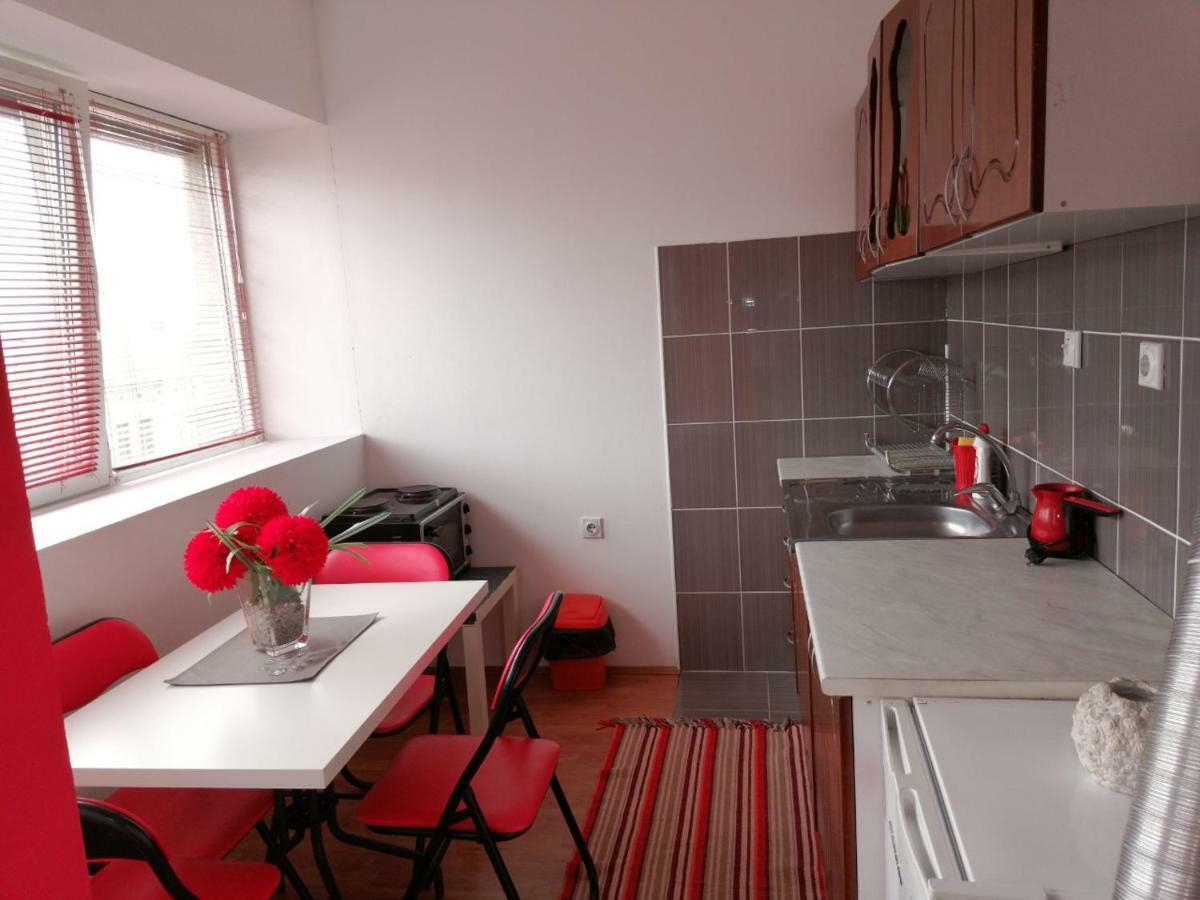 Jednosoban stan centar Apartment Pirot Bagian luar foto
